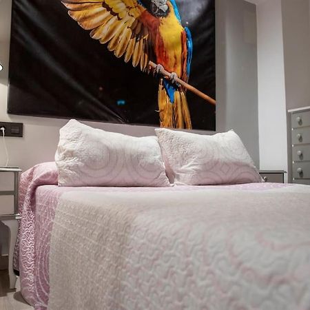 Apartamento Ventanal Атека Экстерьер фото